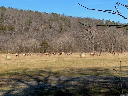 1141 Wafted Lane Tract 2, Marshall, AR, 72650 | Card Image