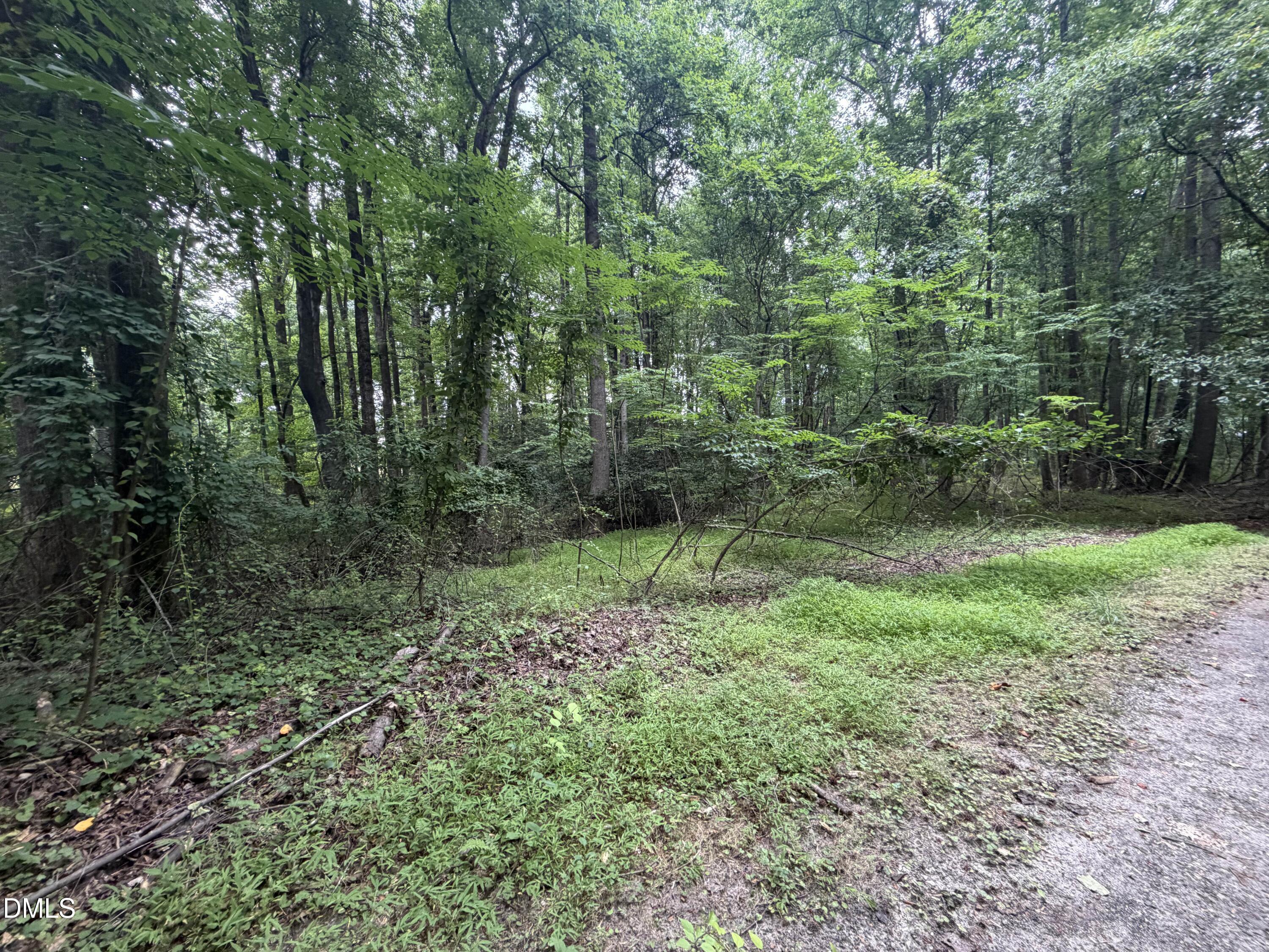 Land in Holly Springs 4