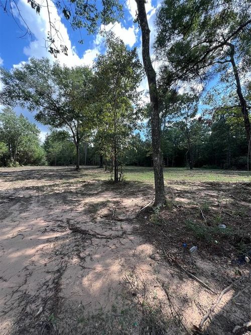 TBD Lot 2 Deerwood Drive, Plantersville, TX, 77363 | Card Image