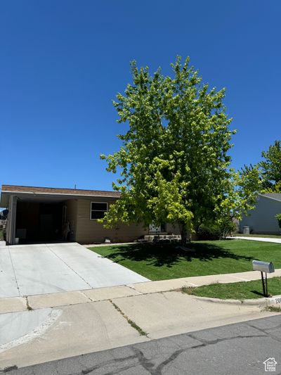 Obstructed view of property with a front lawn and a carport | Image 3