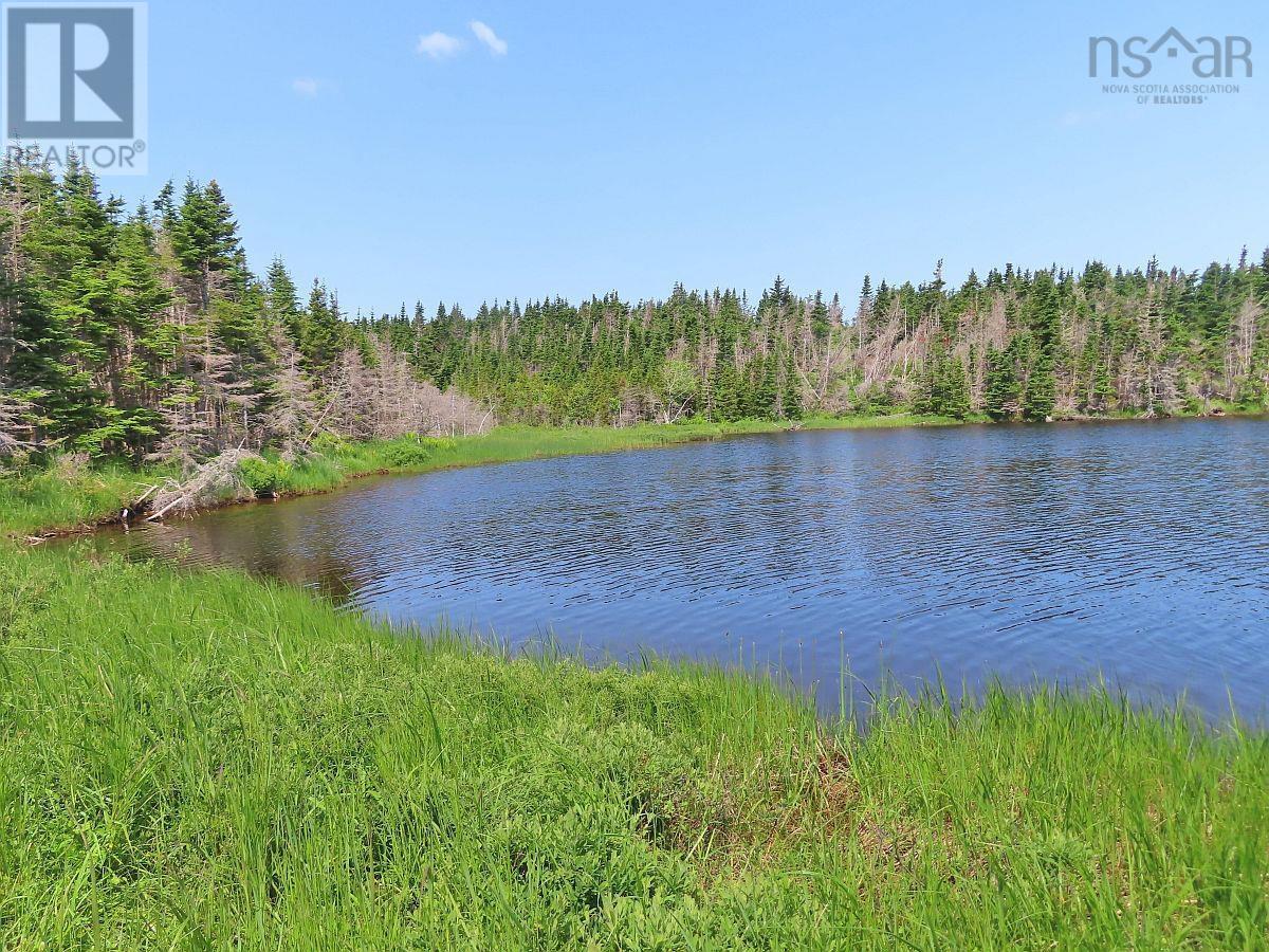 Land in Gabarus Lake 5