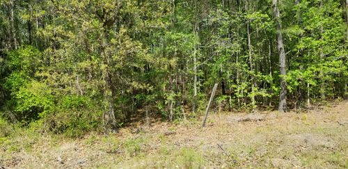 0 Belton Ln, Ruffin, SC, 29475 | Card Image