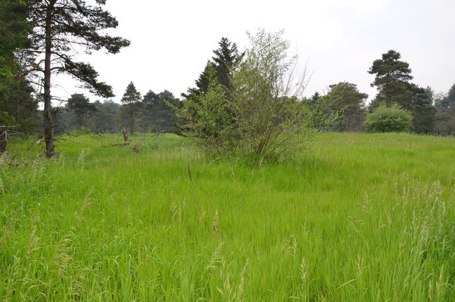 4500 S 42 Nd St, Home with 0 bedrooms, 0 bathrooms and null parking in Climax MI | Image 22