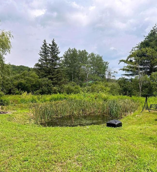 2190 New York 221, Sold in Marathon Zoocasa