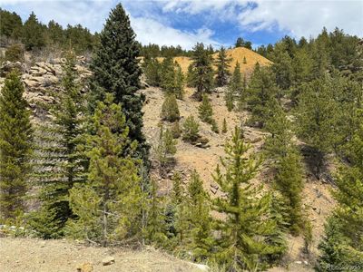 0 Gumtree/Freeland Extension /Eureka/ Belmont Mining, Home with 0 bedrooms, 0 bathrooms and null parking in Idaho Springs CO | Image 2