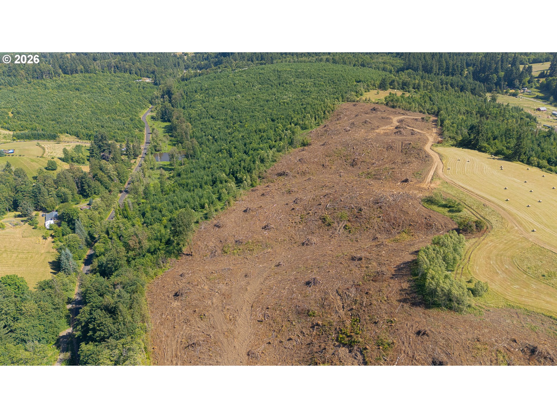 Land in Rainier 4