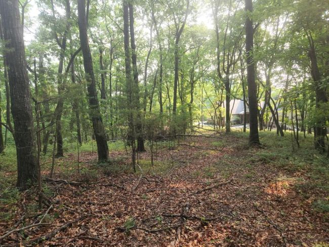 161 Sharp Mountain Pkwy, Home with 0 bedrooms, 0 bathrooms and null parking in Jasper GA | Image 8