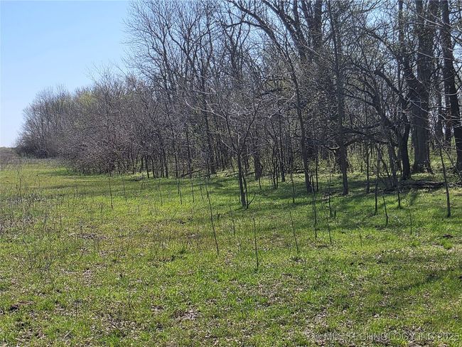 426494 E 250 Rd, Home with 0 bedrooms, 0 bathrooms and null parking in Chelsea OK | Image 32