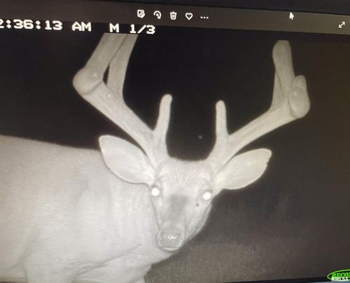 00 2300 E, Liberty, IL, 62347 | Card Image