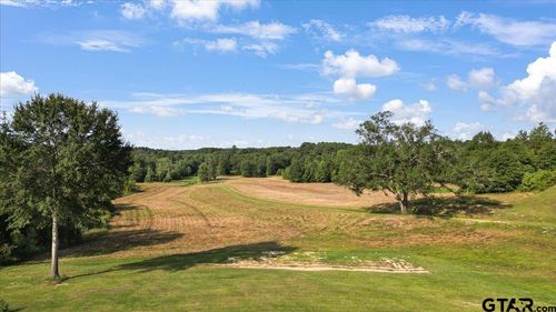 TBD N Live Oak Rd, Gilmer, TX, 75644 | Card Image