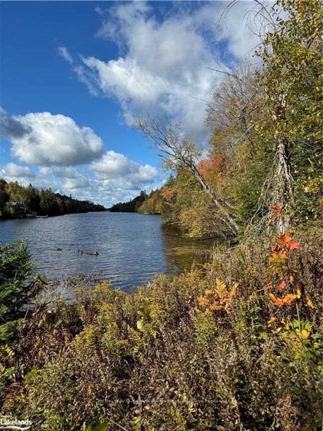 353C Balsam Creek Rd, Home with 0 bedrooms, 0 bathrooms and null parking in Loring ON | Image 8