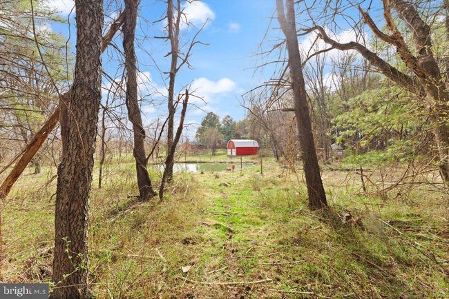 38956 Rickard Rd, House other with 3 bedrooms, 3 bathrooms and null parking in LOVETTSVILLE VA | Image 69