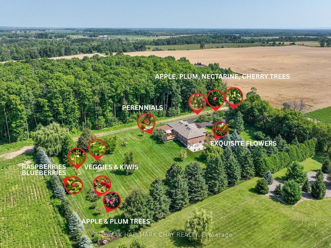 7558 Concession Rd 2, House other with 4 bedrooms, 3 bathrooms and 10 parking in Lisle ON | Image 45