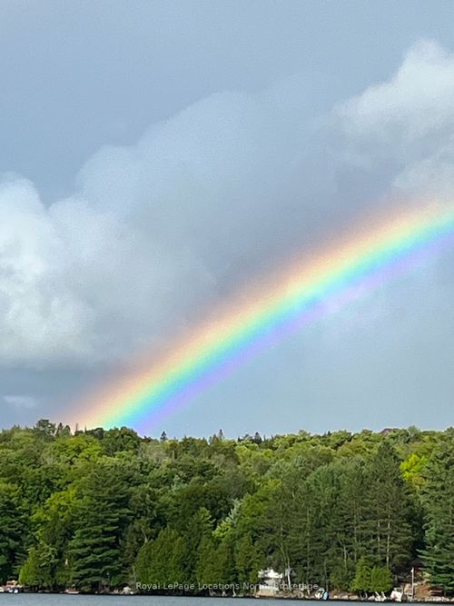 1433 S Horn Lake Rd, Burks Falls, ON, P0A1C0 | Card Image