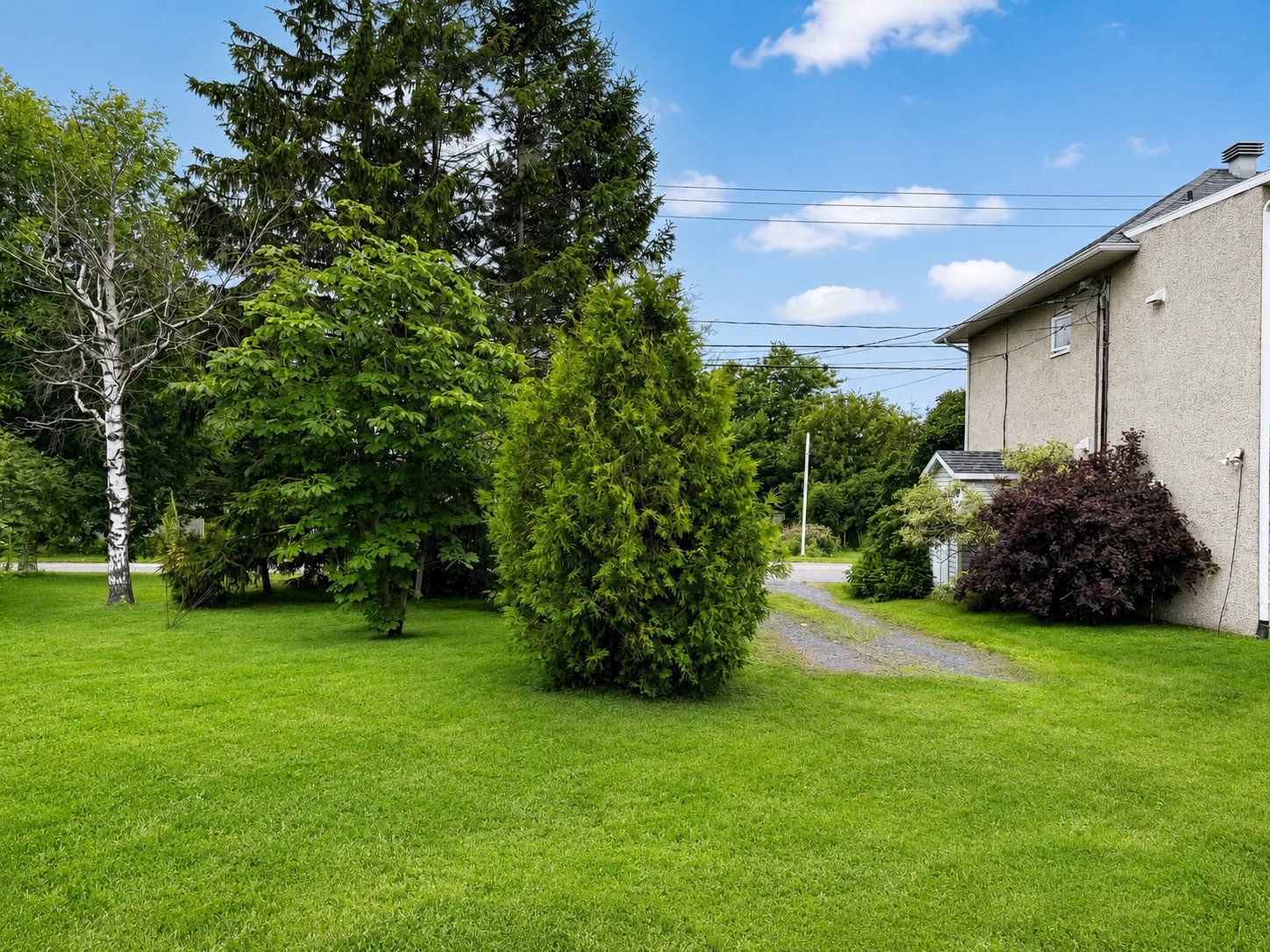 Residential Income in Rimouski 4