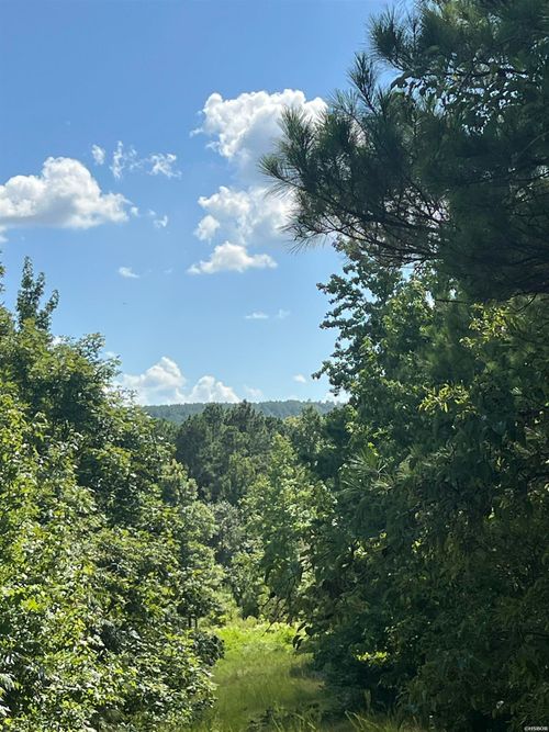 776 John Ashley Rd, Amity, AR, 71921 | Card Image