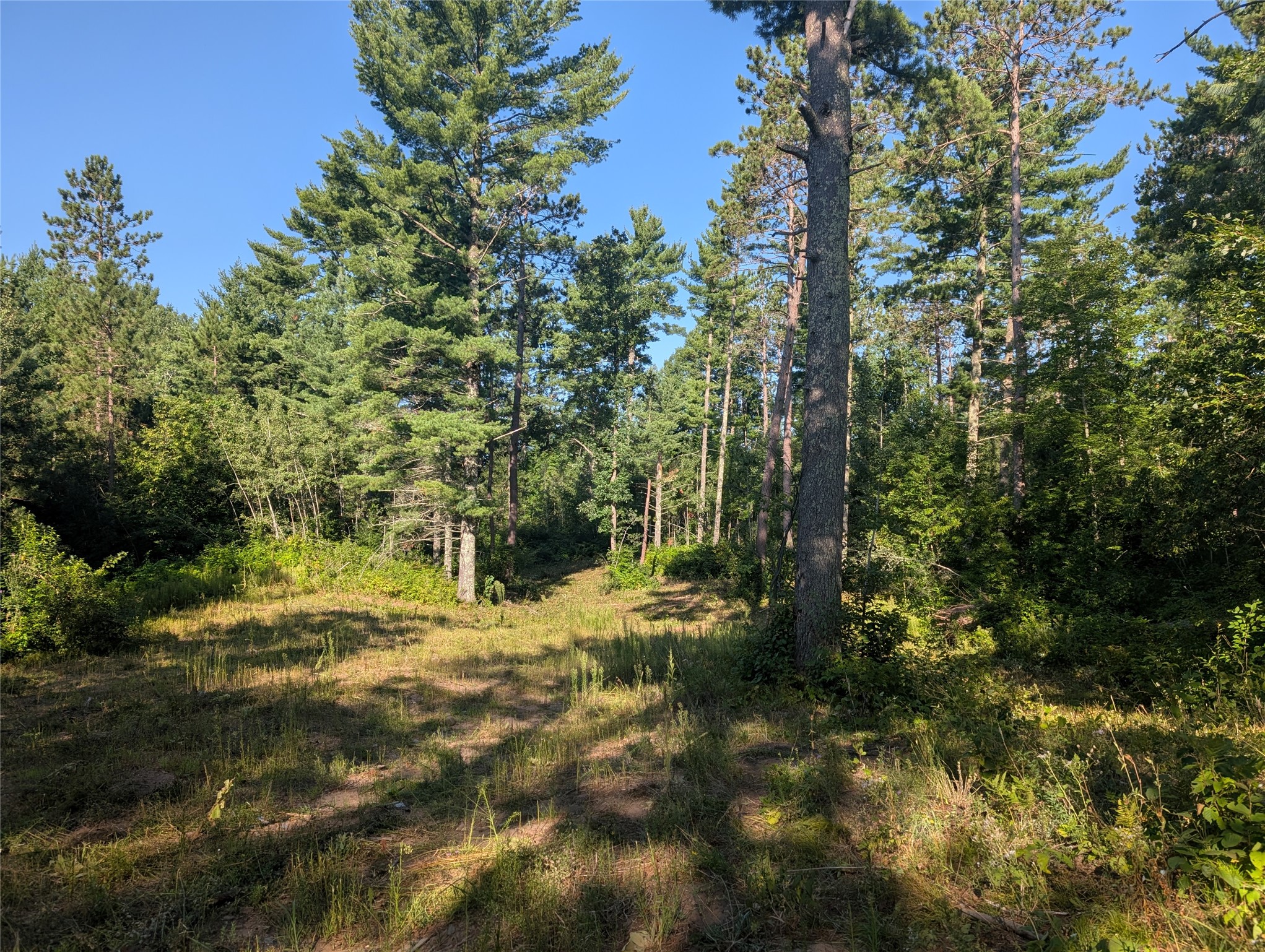 Land in Springbrook 3