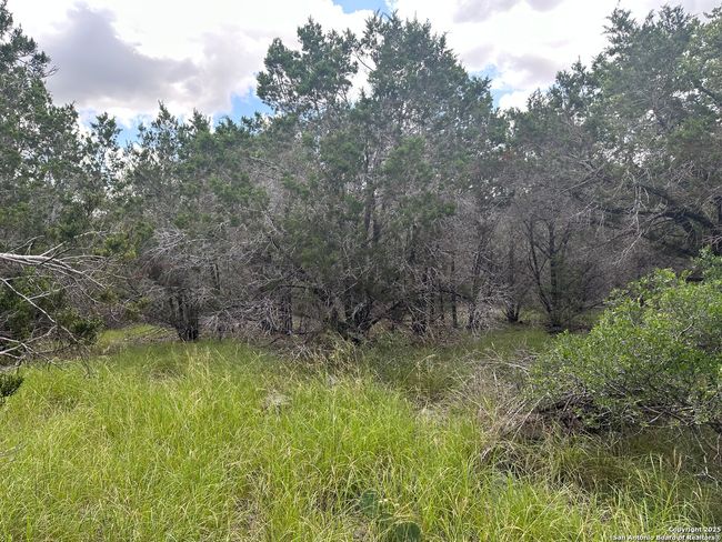 275 Serenity Pass, Home with 0 bedrooms, 0 bathrooms and null parking in Spring Branch TX | Image 5