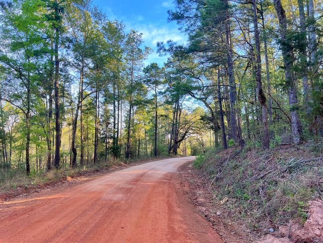99 Cr 2107, Home with 0 bedrooms, 0 bathrooms and null parking in Rusk TX | Image 23