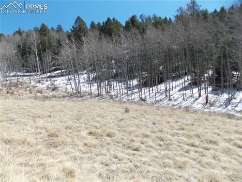 388 Grey Eagle Drive, Cripple Creek, CO, 80813 | Card Image