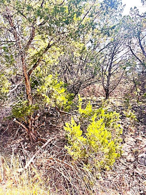 Land in Lago Vista 3