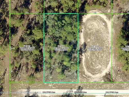 Lot 16 Calypso Avenue, Weeki Wachee, FL, 34614 | Card Image