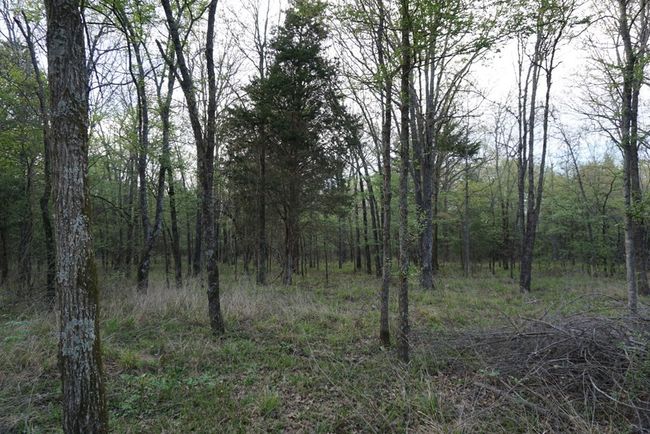 01 Private Rd 5401, Home with 0 bedrooms, 0 bathrooms and null parking in Malakoff TX | Image 9