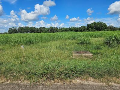 242 Shetland Court, Home with 0 bedrooms, 0 bathrooms and null parking in Angleton TX | Image 1