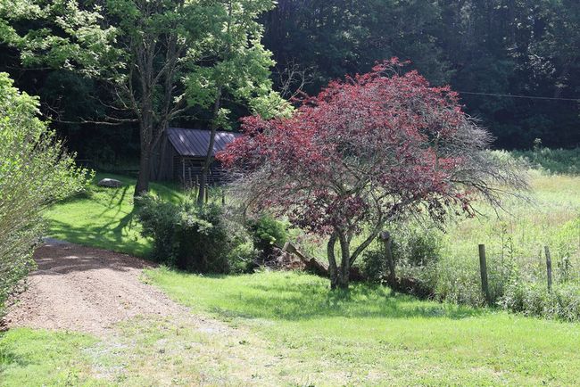 5043 Stones Chapel Rd, House other with 3 bedrooms, 3 bathrooms and 4 parking in Elk Creek VA | Image 47