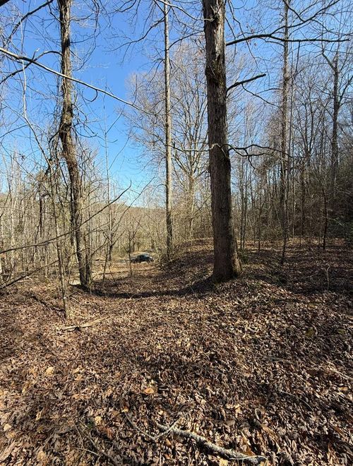 TBD Royal Oaks Trl, Brasstown, NC, 28902 | Card Image