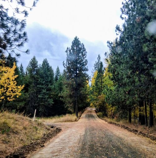 706 Mccammon Dr, Elk, WA, 99009-5019 | Card Image