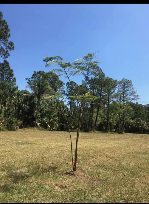 2370 Thacker Trl, Kissimmee, FL, 34747-1535 | Card Image