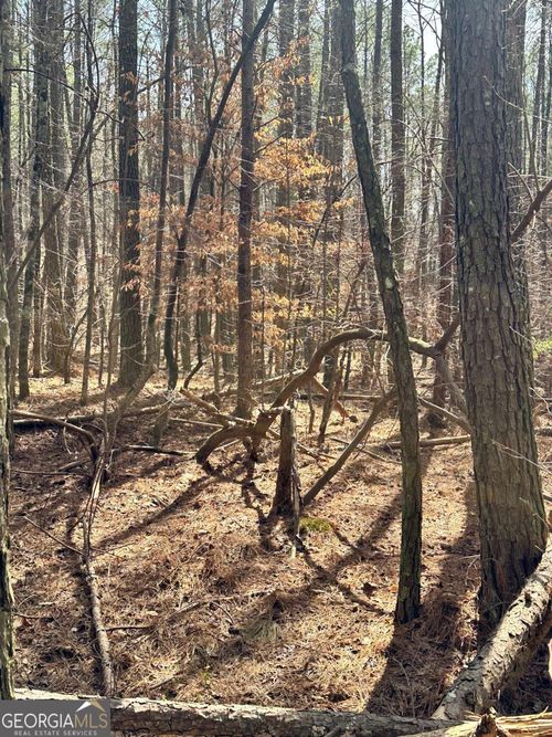 0 Autry Rd Sw, Plainville, GA, 30733 | Card Image