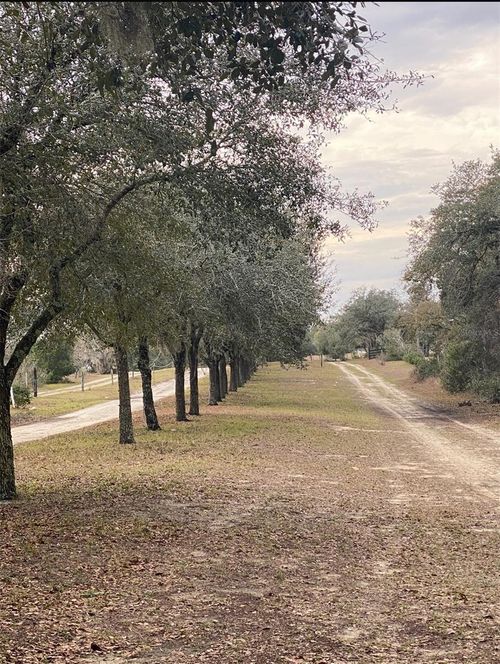 17171 Sw 17th Cir, OCALA, FL, 34473-4430 | Card Image