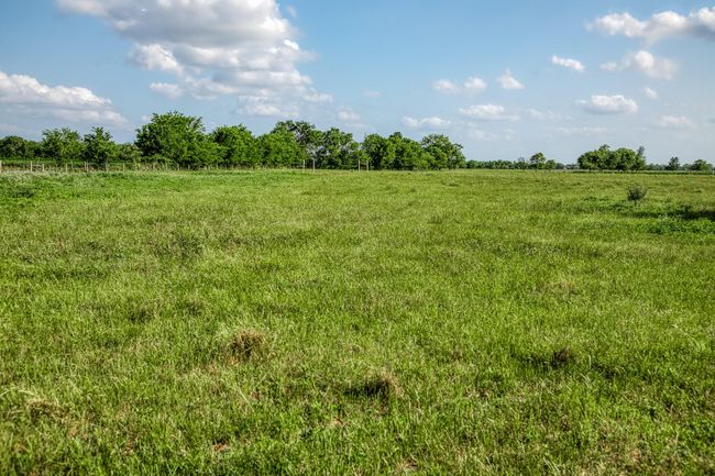 1923 Beasley West End Rd, Home with 0 bedrooms, 0 bathrooms and null parking in Beasley TX | Image 8