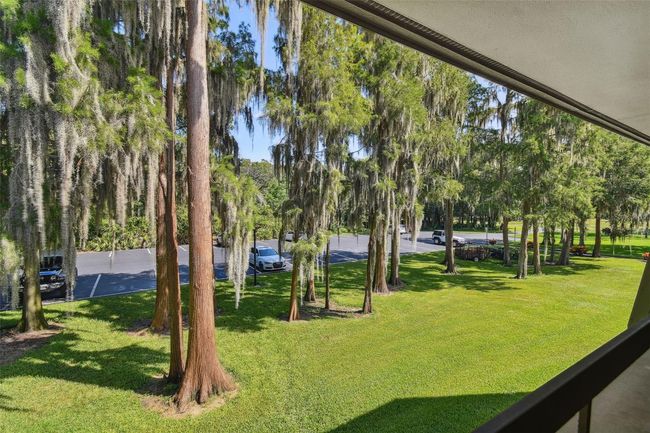 04239 - 36750 Us Highway 19 N, Condo with 3 bedrooms, 2 bathrooms and null parking in Palm Harbor FL | Image 5