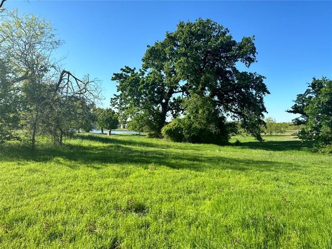 Lot 81 Moonlight Bay Court, Home with 0 bedrooms, 0 bathrooms and null parking in Streetman TX | Image 12