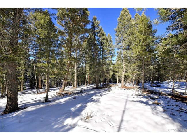 810 Ridge Rd, Home with 0 bedrooms, 0 bathrooms and null parking in Divide CO | Image 6
