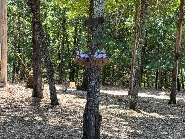 7 Devonshire Drive Theodosia, MO--97 (17 | Image 15