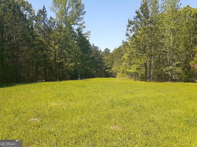1368 Wash Brown Dr, Home with 0 bedrooms, 0 bathrooms and null parking in Elberton GA | Image 20