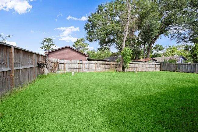 Backyard | Image 22