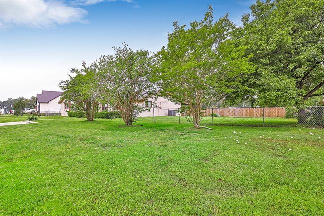 3 large lots | Image 6