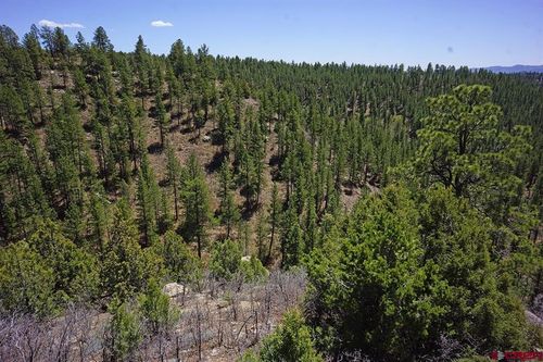 11 TBD Road 37.1, Mancos, CO, 81328 | Card Image