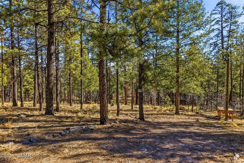 20 County Road 2067, Alpine, AZ, 85920 | Card Image
