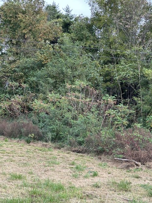 0 Nannie South Ln, Mcminnville, TN, 37110 | Card Image