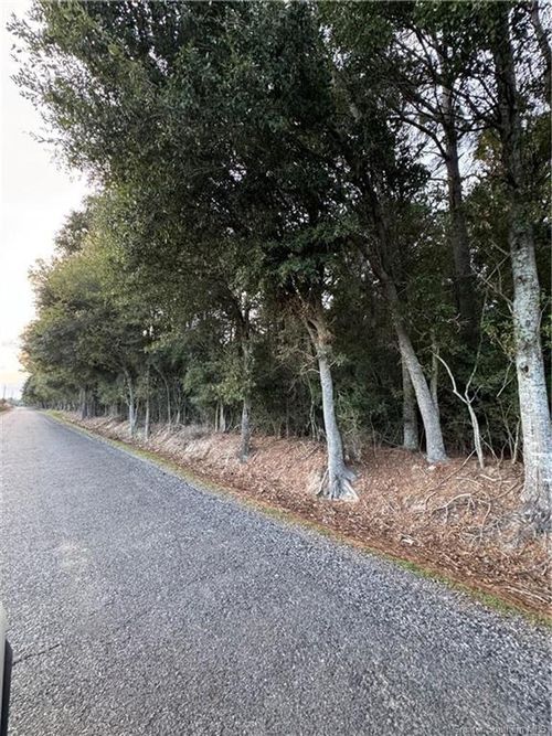 0 Bearcat Rd, Basile, LA, 70515 | Card Image