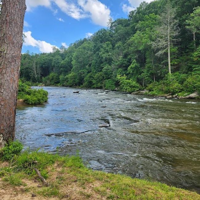0 Woodstone Trail, Home with 0 bedrooms, 0 bathrooms and null parking in Ellijay GA | Image 10