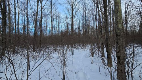 81-acres-ON Hansen Rd, Antigo, WI, 54409 | Card Image