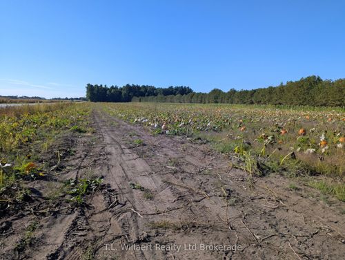 7343 Plank Rd, Bayham, ON, N0J1Z0 | Card Image