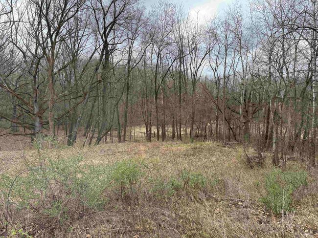 N2403 E Rockdale Rd, Home with 3 bedrooms, 2 bathrooms and null parking in CAMBRIDGE WI | Image 14